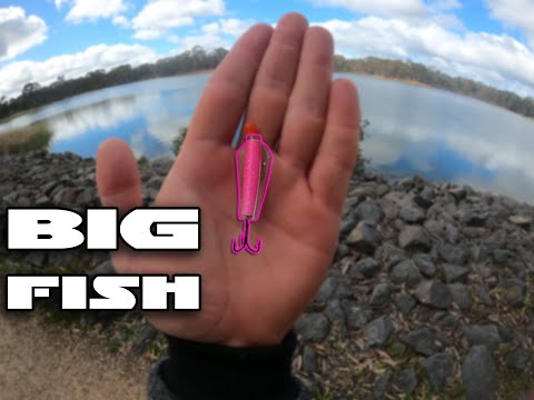 This Lure catches BIG fish! So many fish in ONE session - EP. 19 