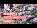 シニア ライフ 60代 主婦の日常 年金受給日 スダチシャーベット 麻婆なす