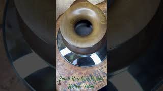 Small Rainbow Poplar Hollow Form
