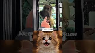 Shocked 😲 what's going on?#funny #meme #trending #viral