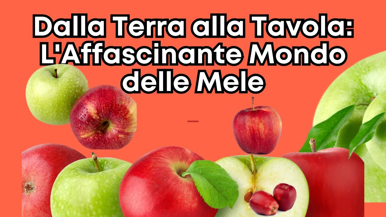 Dalla Terra alla Tavola: L'Affascinante Mondo delle Mele