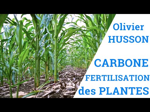 Carbone et Fertilisation des Plantes - Olivier HUSSON