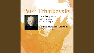 Symphony No.2 in C Minor. IV. Finale. Moderato assai. Allegro vivo