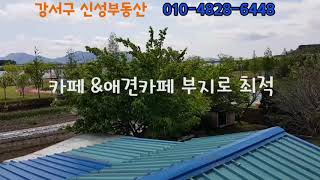 부산 강서구 서낙동강 조망 카페부지&애견카페부지매매
