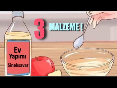 Video: Sivrisinekler Ormanda Ne Yer?