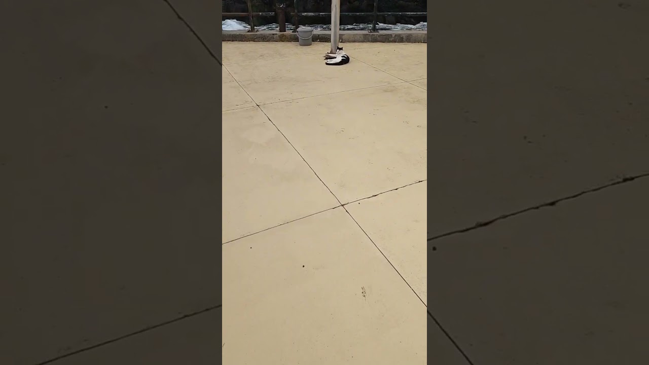 Faial Beach at Santana, Madeira Island, Portugal by winter. By OnFireTeam by Remax Elite