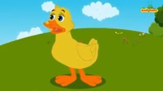 Five Little Ducks Nursery Rhymes For Children I Kids Kindergarten Songs I Baby Rhyme Poems