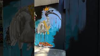 Bin Chicken Boss ~ Painted Graffiti Art Ibis Bird On Shop Wall - Alexandria | Sydney Australia