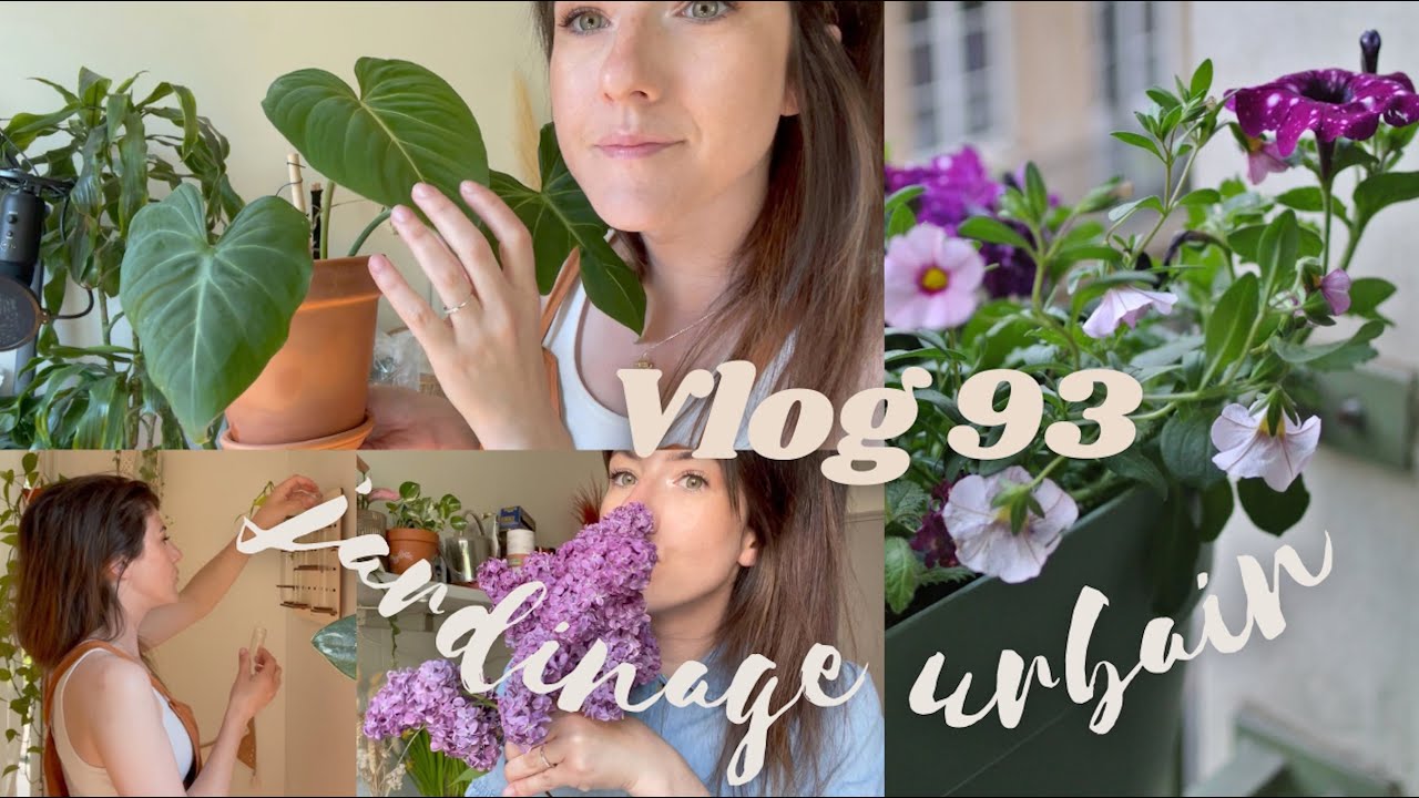 Nouvelles feuilles sur le Gloriosum, Plantation de mes nouvelles jardinières - VLOG 93