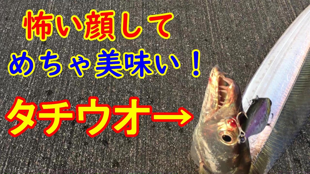 ルアーで簡単お手軽タチウオ しかも美味いッ 沖縄 タチウオ釣り Youtube