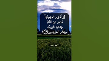 سورة الصف الآية ١٢ و ١٣ بصوت الشيخ محمد صديق المنشاوي