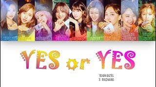 [1 시간 \/ 1 HOUR LOOP] TWICE (트와이스) - YES or YES - Color Coded Lyrics