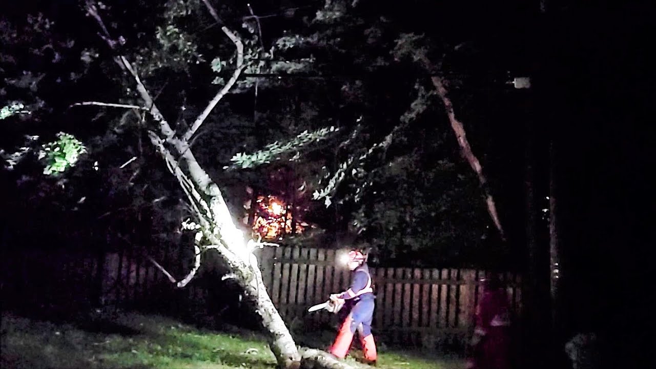 Cutting a tree on Powerlines - Quick Clip - YouTube
