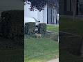 Coyote Spotted near a Industrial Area in Lathrop, CA #shorts #california #coyote