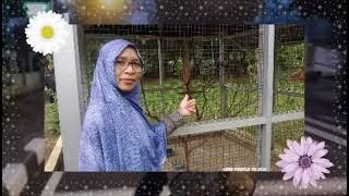 SALATIGA @endrochanel2197