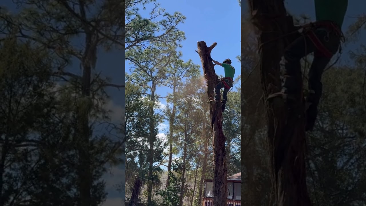 Альпинист за работой