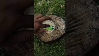 Famous Survival hacks: I demonstrate skills of simplifying Survival in the wild #outdoors #survival #forest Wealth