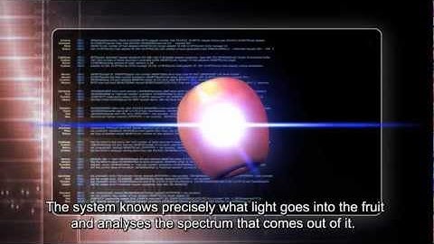 Animation iFA with subtitles