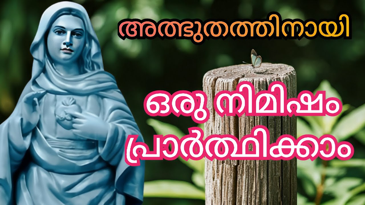 അത്ഭുതത്തിനായി ഒരു നിമിഷം പ്രാർത്ഥിക്കാം 🙏2/11/25 #kripasanam  #kreupasanam #കൃപാസനംഅമ്മ
