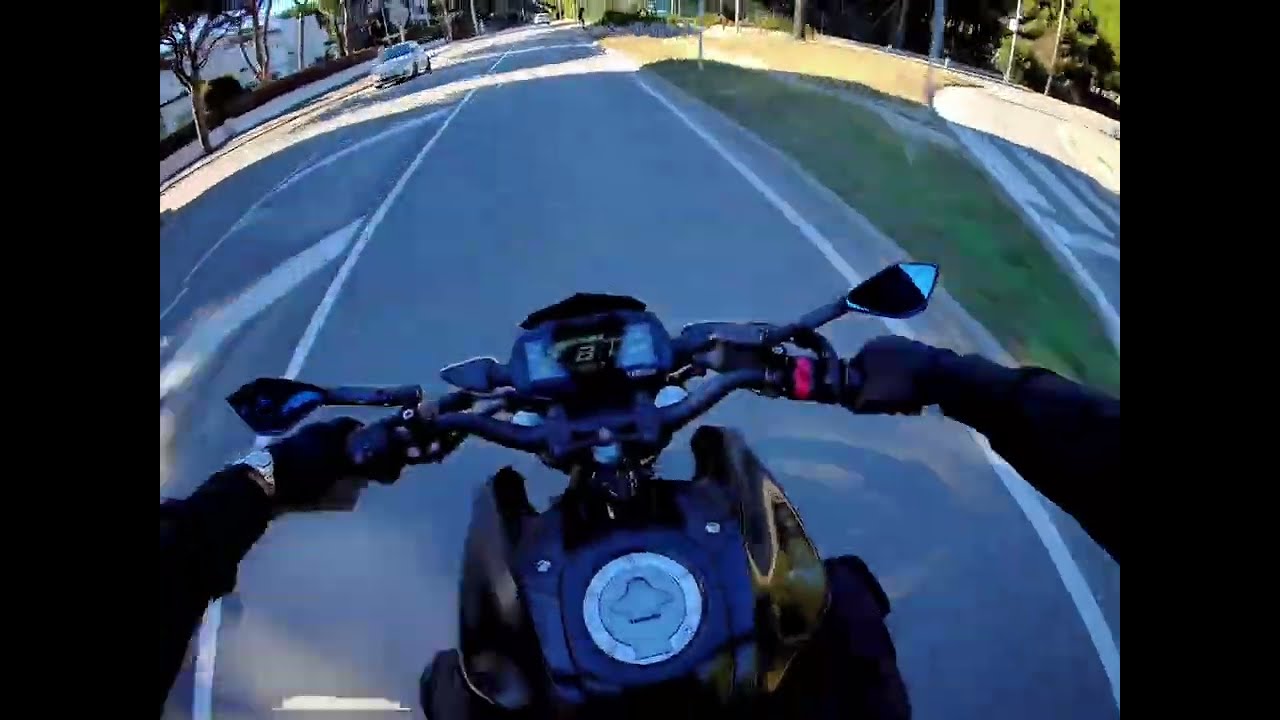 Yamaha MT 125 Pure Sound