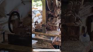Timber Processing: How Vertical Sawmill Transforms Raw Wood Into Smooth Boards 