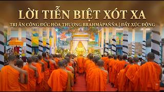 Khoảnh Khắc Xúc Động Tiễn Biệt Hòa Thượng Brahmāpañña Danh Lân
