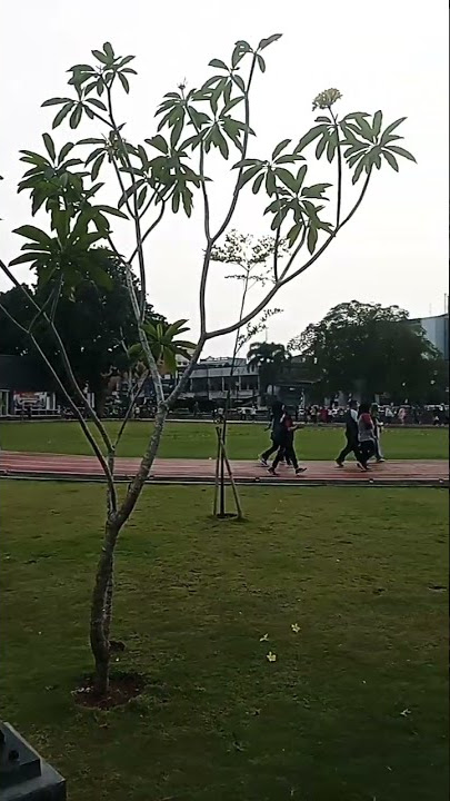 Jogging Alun Alun Kota Bogor