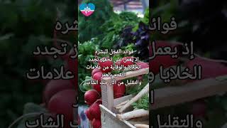 #فوائد #الفجل #للجسم #radish