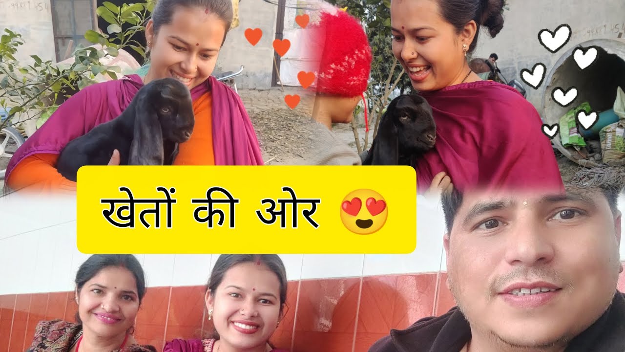 पंजाब की खेते ll 😍punjab ll Ruchi bhatt vlogs 😍
