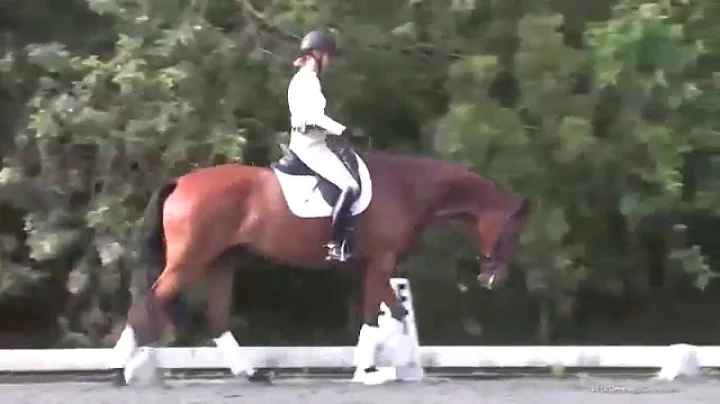 DressageClinic.c...  Presents Shannon Dueck Riding...