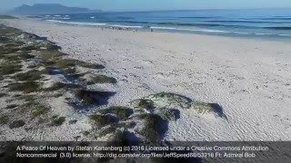 Beached Whale, Atlantic Beach, Melkbosstrand, Cape Town, South Africa