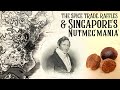 Singapore and Spice: Nutmeg. The seed that spawned a country? 新加坡與香料：肉豆蔻—生出一個國家的種子？