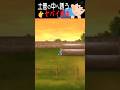 カン超【怖すぎる話】
