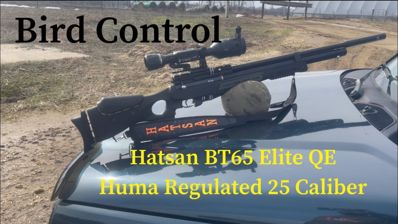 *Pesting Video* Hatsan BT65 Elite QE 25 caliber Huma regulated 