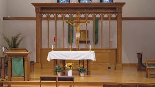 Sunday 8:00 AM Mass - 6/21/26