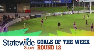 2017 Statewide Super Goals of the Week - Round 12
