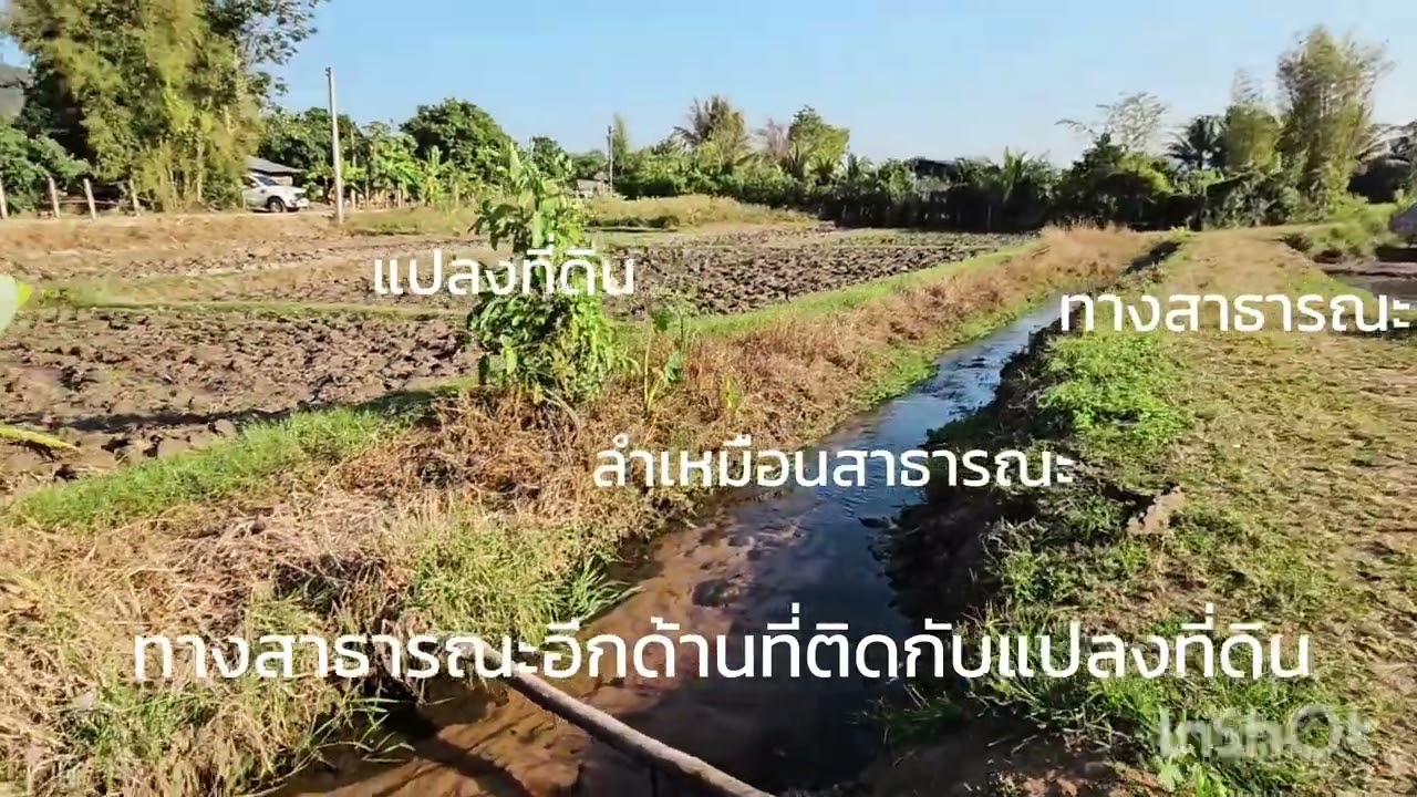 ขายที่ดินใกล้เขื่อนแม่งัดจังหวัดเชียงใหม่