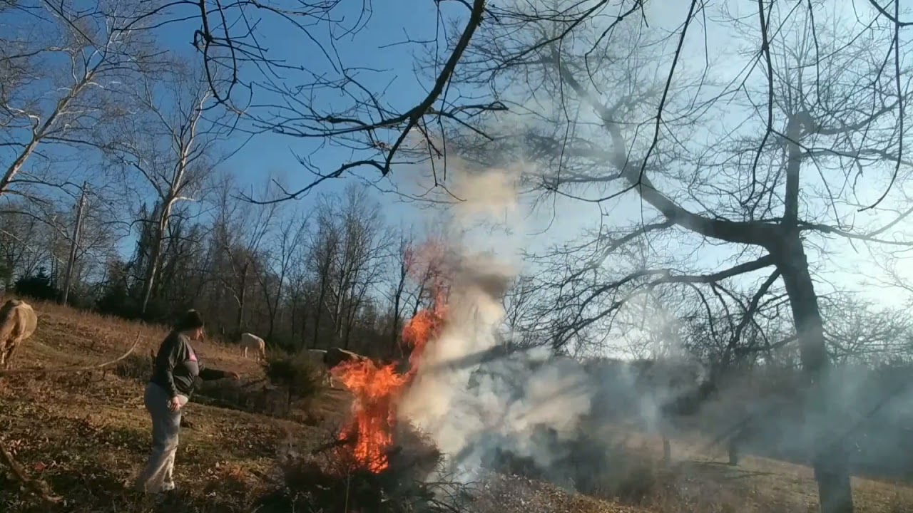 Winter Brush Burning, Cleaning Up the Farm. Future Sheep Pasture! Clearing by Hand!