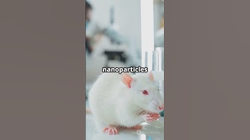 “Scientists Use Nanoparticles to Clear Alzheimer’s Brain Plaques in Mice”