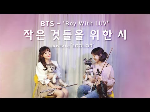 [COVER] 'BTS' - Boy With LUV (작은 것들을 위한 시) 연주로 듣기 '2COLOR' - VIOLIN & FLUTE INST. 바이올린 커버 , 플룻