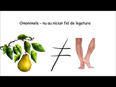 OMONIME SI CUVINTE POLISEMANTICE - Gramatica in 3 minute