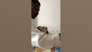 TUNATOA HUDUMA YA MATIBABU NA CHANJO KWA WANYAMA AINA ZOTE | MBWA, PAKA, NK