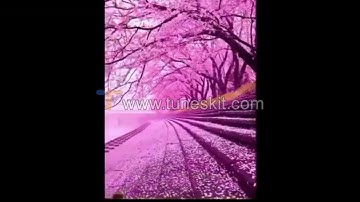 سورة القيامة بصوت الشيخ ناصر القطامي عام 1424تلاوة مختلفة عن التلاوة التي في إصدار الفرائد