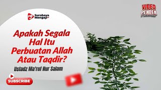 Apakah Segala Hal Itu Perbuatan Allah Atau Taqdir - Ustadz Ma'ruf Nur Salam