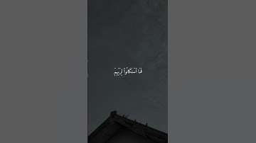 تلاوة خاشعة مؤثرة بصوت الشيخ ماهر المعيقلي ارح قلبك ♡