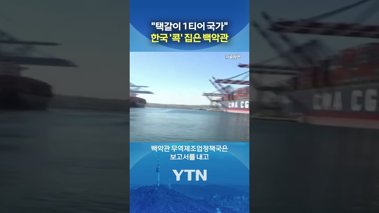 한국 1티어로 뽑힌 이유 #shorts / YTN