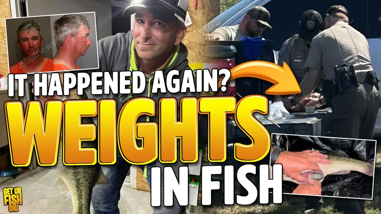 Another Bass Fishing CHEATER Caught Stuffing Weights in Fish AGAIN