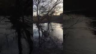 Завтра весна  Беларусь природа #беларусь #ялюблюбеларусь #rita #2023