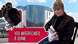 Вот как нужно проводить свой досуг! Всегда весело и интересно!