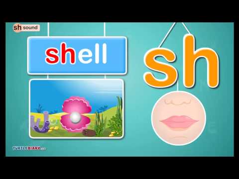 Learn to Read | Digraph /sh/ Sound *Phonics for Kids*